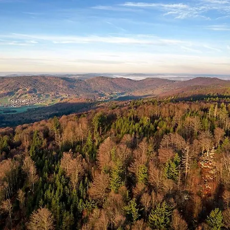 Nr 9b1, Hagbuegerl, Bayr Wald 펜션 *