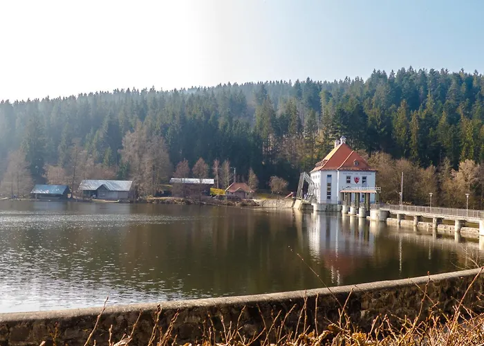 Nr 9b1, Hagbuegerl, Bayr Wald * Waldmünchen