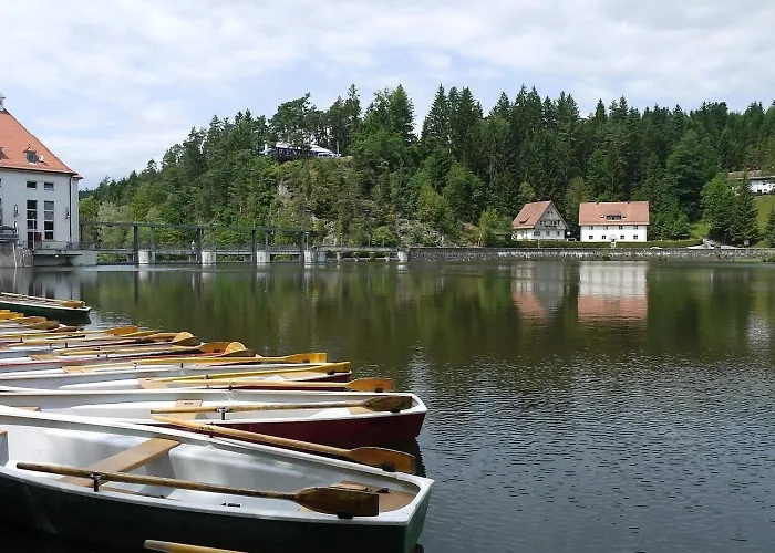 Nr 9b1, Hagbuegerl, Bayr Wald Dom wakacyjny *