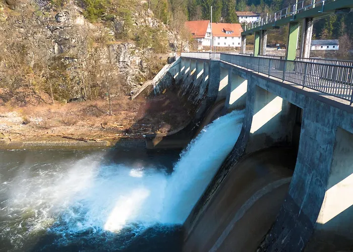 Nr 9b1, Hagbuegerl, Bayr Wald * Waldmünchen