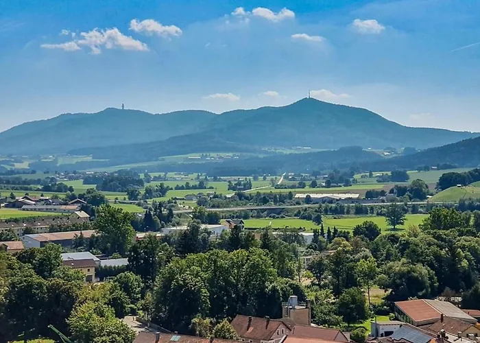 Nr 9b1, Hagbuegerl, Bayr Wald Dom wakacyjny