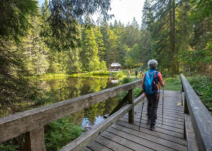 Dom wakacyjny Nr 9b1, Hagbuegerl, Bayr Wald *
