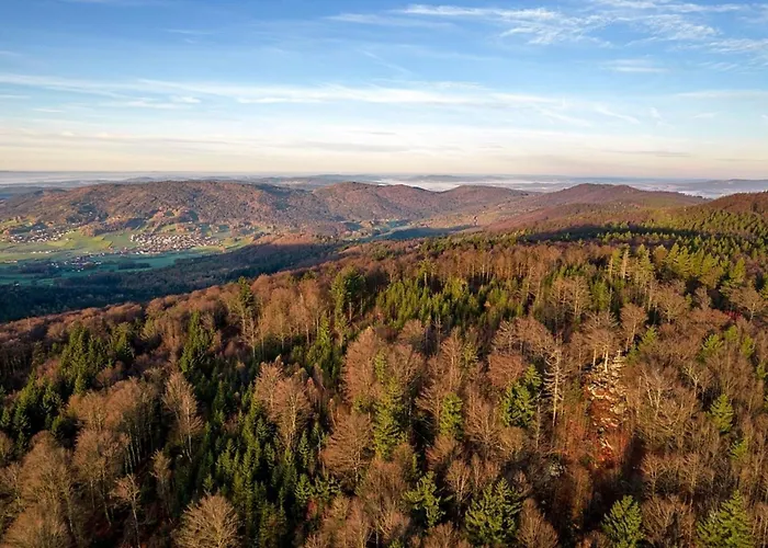 Nr 9b1, Hagbuegerl, Bayr Wald Dom wakacyjny *