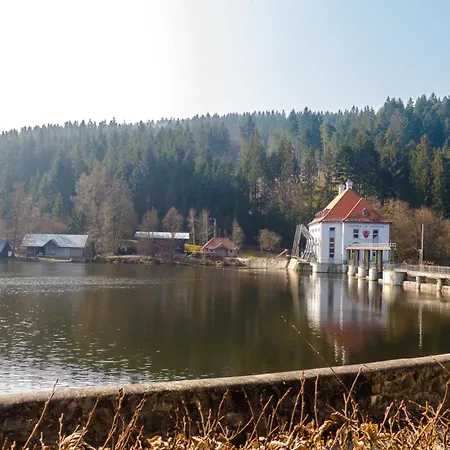 Nr 9b1, Hagbuegerl, Bayr Wald * Waldmuenchen