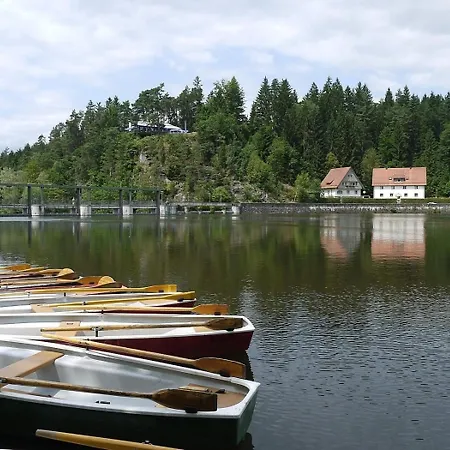 Nr 9b1, Hagbuegerl, Bayr Wald Prázdninový dům *