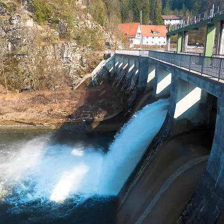 Nr 9b1, Hagbuegerl, Bayr Wald * Waldmünchen