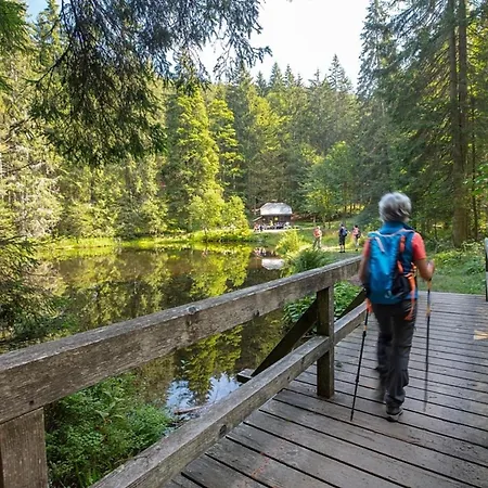 Prázdninový dům Nr 9b1, Hagbuegerl, Bayr Wald *