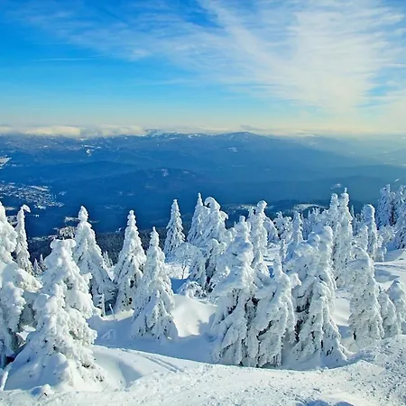 Prázdninový dům Nr 9b1, Hagbuegerl, Bayr Wald Waldmünchen